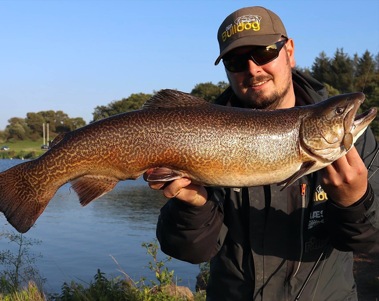 Westin W6 Light Softlure 7'1''/213cm Ul 1-4g 2 Sec